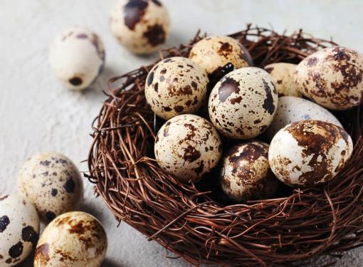 Trứng cút và những công dụng bất ngờ
