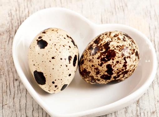 Trứng cút bao nhiêu calo? Các lợi ích tuyệt vời của trứng cút