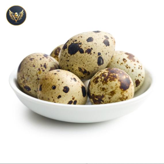 Trứng Cút Lạt