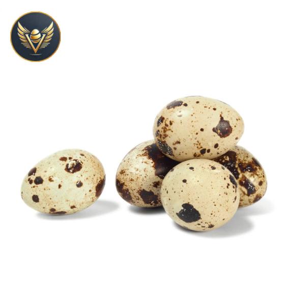 trứng cút loại nhỏ