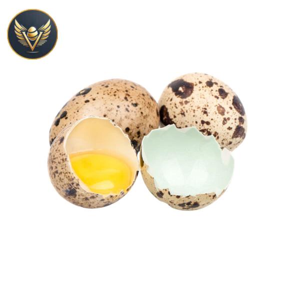 trứng cút loại vừa 