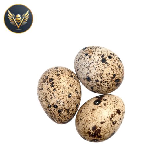 trứng cút lạt nhỏ