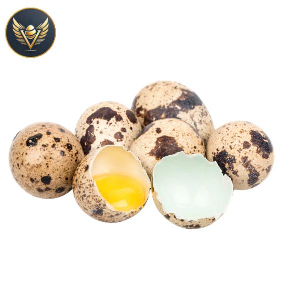 trứng cút loại vừa