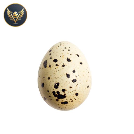 trứng cút loại lớn