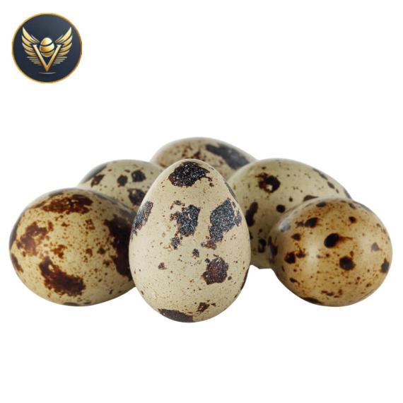 trứng cút lạt lớn