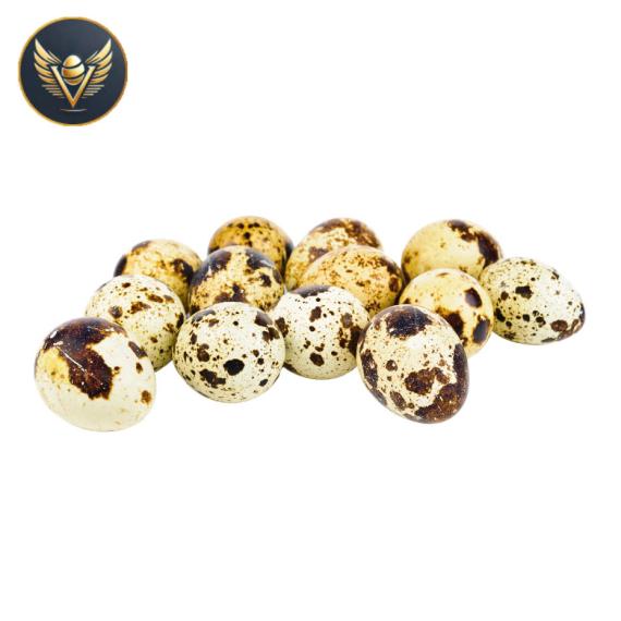 trứng cút loại nhỏ