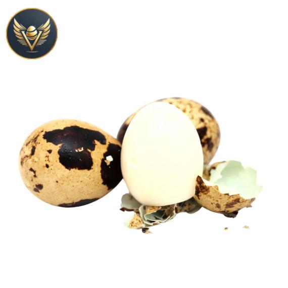trứng cút bóc vỏ trung