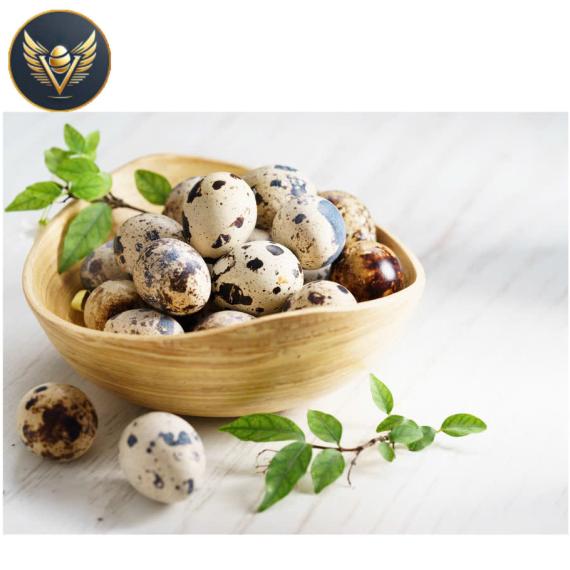 trứng cút lộn trung