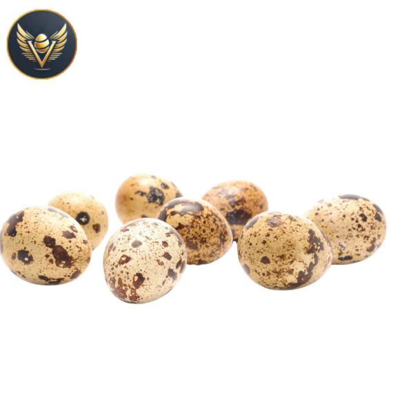 trứng cút lộn nhỏ